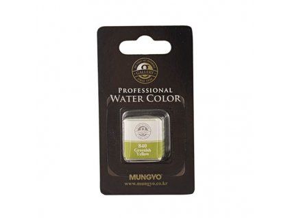 Akvarelová barva v půlpánvičce Mungyo - 840 Greenish Yellow