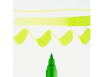 Ecoline Brushpen 665