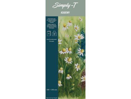 Skicák Simply-T Academy pro akvarel v lepené vazbě 10 x 25 cm, Cold Pressed, 300 g/m², 10 listů