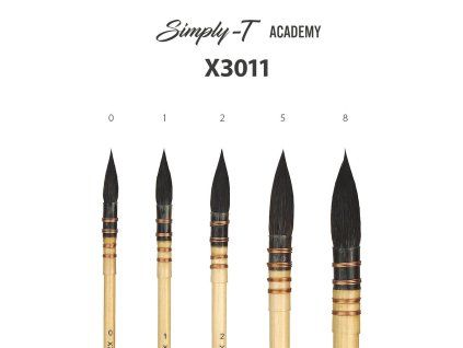 0yj7spg7sb simply t academy x3011 1600 1500 SHRINK ONLY 78 jpeg