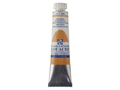 234 Raw Sienna