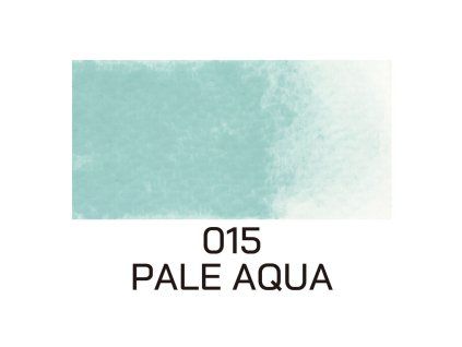 15 Pale Aqua