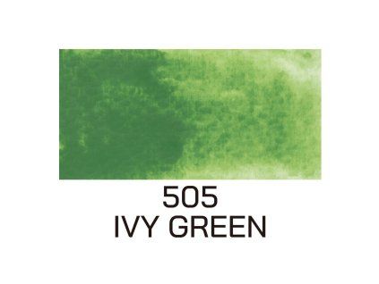 505 Ivy Green