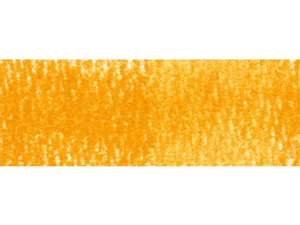 P060 DANDELION