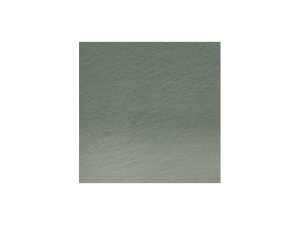 50 CEDAR GREEN