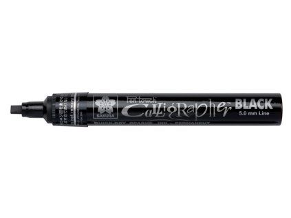 Pen Touch černý