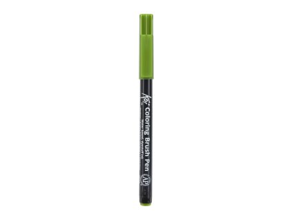 38853 akvarelovy fix koi 130 sap green