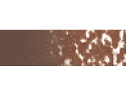 060 Van Dyck Brown