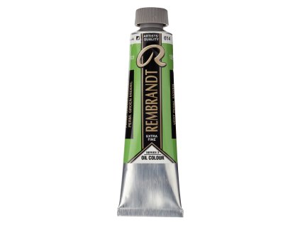 Olejová farba Rembrandt 40 ml – 614 Permanent Green Medium
