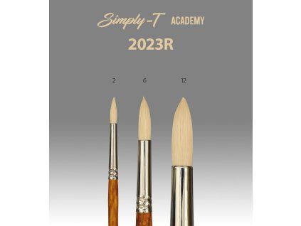 dbv9a6ai3x simply t academy 2023r 1600 1500 SHRINK ONLY 78 jpeg