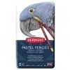 Sada pastelů v tužce Derwent Pencil 12 ks