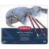 Sada pastelů v tužce Derwent Pencil 24 ks