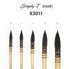 0yj7spg7sb simply t academy x3011 1600 1500 SHRINK ONLY 78 jpeg