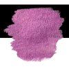 Fuchsia 1
