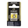 Permanent Lemon Yellow 254