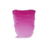 Rose 357 1