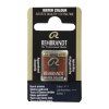 Burnt Sienna 411