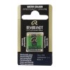 Permanent Green 662