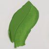 614 Permanent Green Medium 1