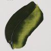 620 Permanent Olive Green 1