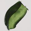 623 Sap Green 1