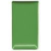 505 Ivy Green1