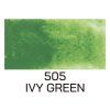 505 Ivy Green