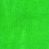 43 Shimmer chlorophyll1