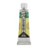 Akvarelová barva v tubě Rembrandt 10 ml – 640 Bluish Green