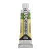 Akvarelová barva v tubě Rembrandt 10 ml – 644 Hooker Green Light