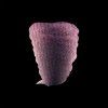 Akvarelová barva v tubě Rembrandt 10 ml – 867 Sparkle Pink