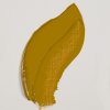 Olejová barva Rembrandt 40 ml – 227 Yellow Ochre