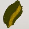Olejová barva Rembrandt 40 ml – 281 Transparent Yellow Green