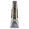 Olejová barva Rembrandt 40 ml – 282 Naples Yellow Green