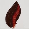 Olejová barva Rembrandt 40 ml – 378 Transparent Oxide Red