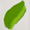 Olejová barva Rembrandt 40 ml – 618 Permanent Green Light