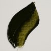 Olejová barva Rembrandt 40 ml – 620 Olive Green