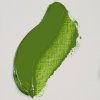 Olejová barva Rembrandt 40 ml – 625 Cinnabar Green Med