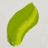 Olejová barva Rembrandt 40 ml – 633 Permanent Yellowish Green