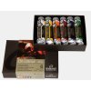 Sada profesionálních olejových barev Rembrandt 6 x 15 ml